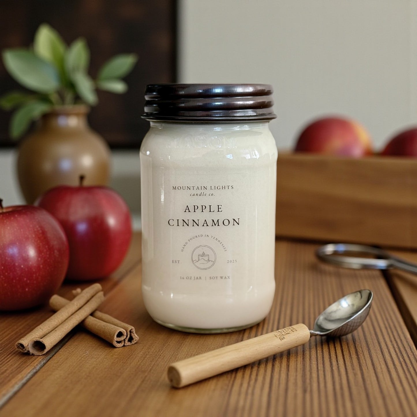 Apple Cinnamon 16 oz candle